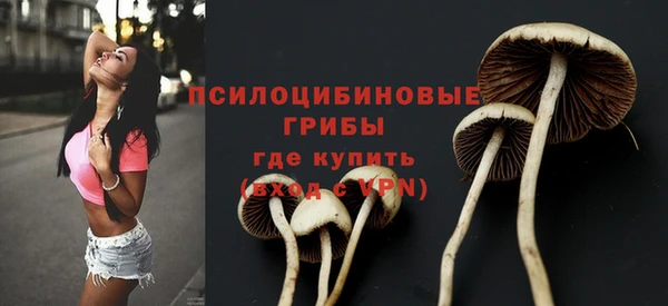 Альфа ПВП Балахна