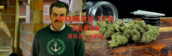 хмурый Балабаново